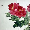 h09.JPG