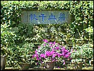 DSCF0272.jpg
